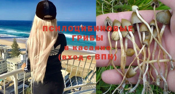первитин Лабытнанги