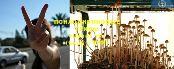 первитин Лабытнанги