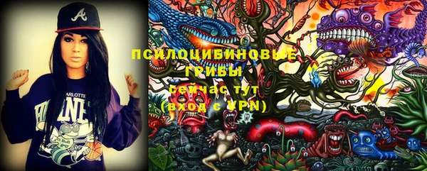 первитин Лабытнанги