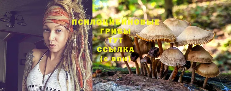 Галлюциногенные грибы MAGIC MUSHROOMS  Новоалександровск 