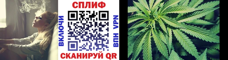 купить закладку  Новоалександровск  Канабис VHQ 